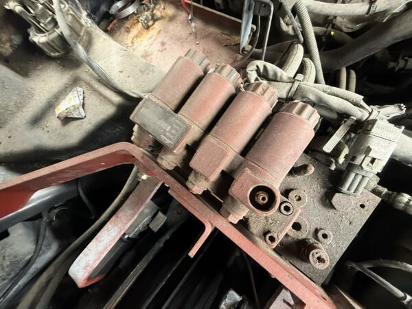 IMG_6755_resize