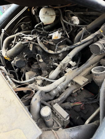 IMG_7143_resize