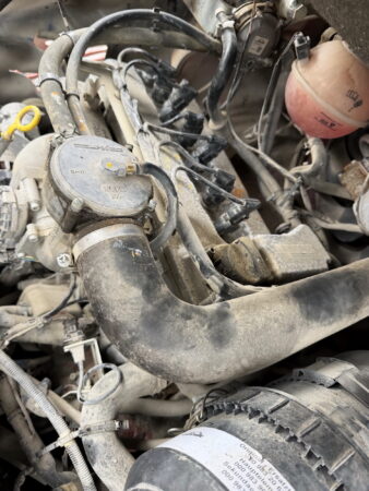 IMG_3864_resize