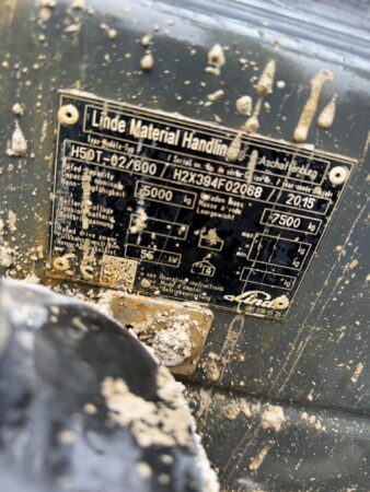 IMG_3870_resize