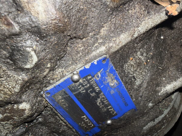 IMG_4181_resize